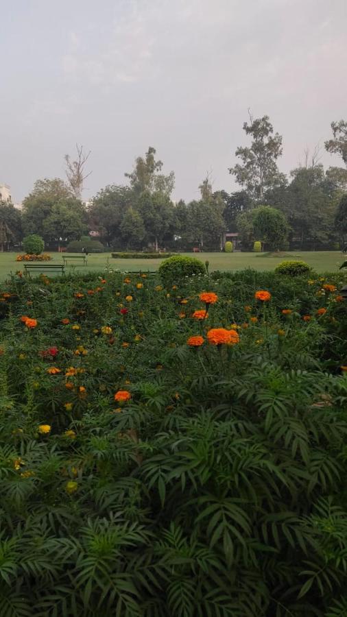 Maplewood Guest House, Neeti Bagh, New Delhiit Is A Boutiqu Guest House - Room 5 外观 照片