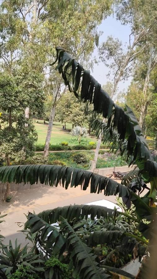 Maplewood Guest House, Neeti Bagh, New Delhiit Is A Boutiqu Guest House - Room 5 外观 照片